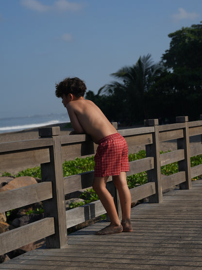Sorbet Swim Shorts